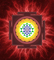 Institute of Vedic astrology